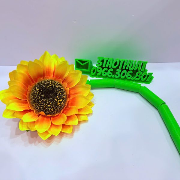 Ảo thuật hoa hướng dương tự gãy